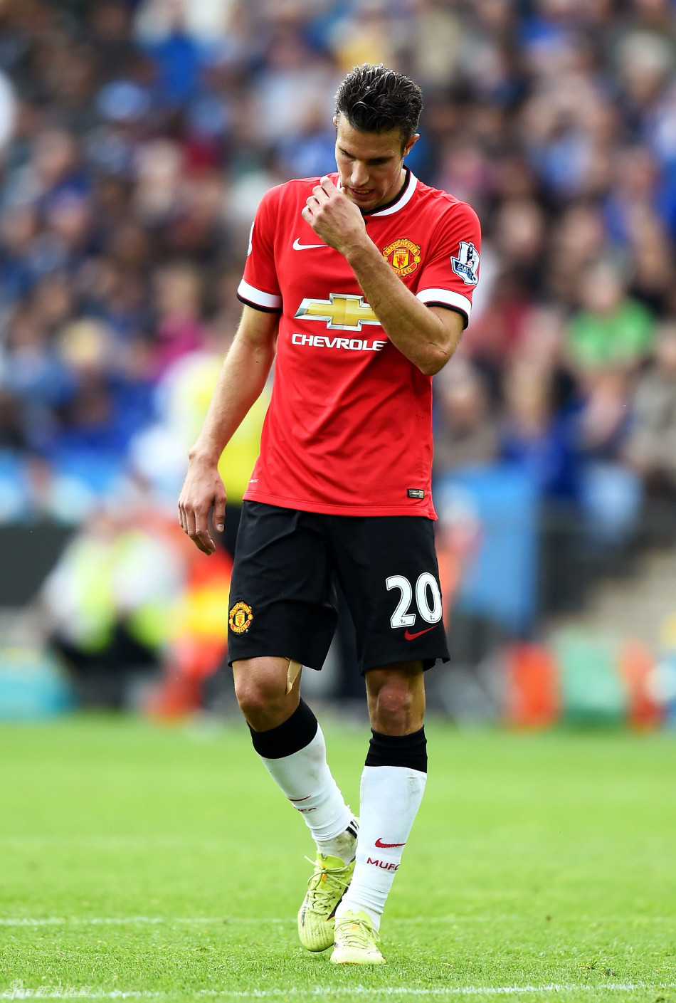 德乙前瞻：波鸿近期强势反弹，德累斯顿9轮不胜（德乙前瞻：波鸿强势回暖，德累斯顿陷入九轮不胜）