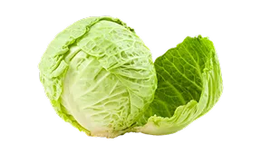 热门赛事 - 28圈