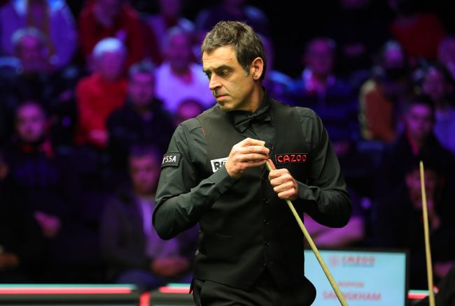 很多资深的 很多资深的